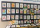 固始县第九小学开展常识学科期末汇报课教研活动 推进五育并举育人工作