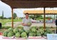 平桥区五里镇举办“十里水乡寻乡味”端午节民俗市集 助力乡村振兴