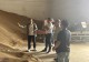 平桥区粮食和物资储备中心筑牢粮食安全压舱石 谱写物资储备新篇章