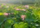 罗山县尤店乡:“方湾花念”绘就和美乡村振兴画卷