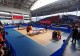 新县城关第五小学乒乓小将在新县中小学生乒乓球比赛斩获多项佳绩