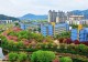 新县城关第三小学发布2026年秋季一年级招生公告