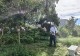 战高温护绿荫,商城县城市管理局抗旱浇水全力守护县城“清凉色”