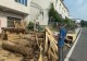 罗山县潘新镇开展木材加工企业消防安全专项检查 筑牢消防安全防火墙
