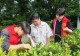 2026年暑期计算机与信息技术学院三下乡实践团赴信阳茶山开展研学实践 助力古茶产业数智升级
