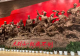 信阳师范大学马克思主义学院“青年赴基层,爱国显担当”实践团开展暑期三下乡红色社会实践活动
