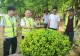 信阳市羊山森林植物园开展植物养护科普暨绿色驿站活动