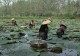 淮滨法院:“法”式护航,赋能“芡”程!