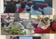 信阳市春华学校朱琳:秉灯育梦 向光而行