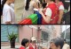 信阳城管:宣教赋能聚合力 分类践行树新风